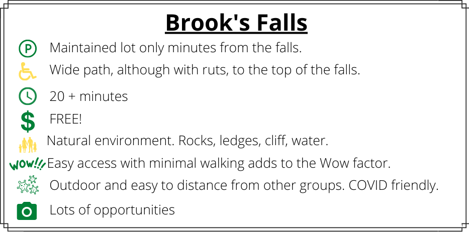 Brook's Falls