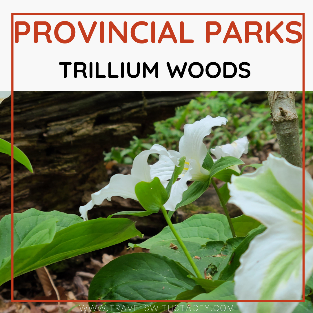 Trillium Woods Provincial Park