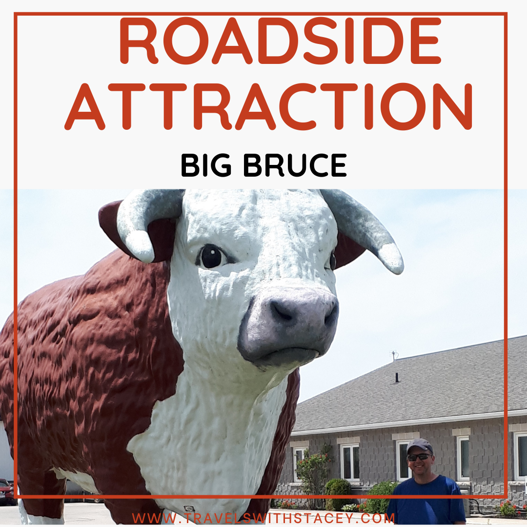 roadside attraction big bruce